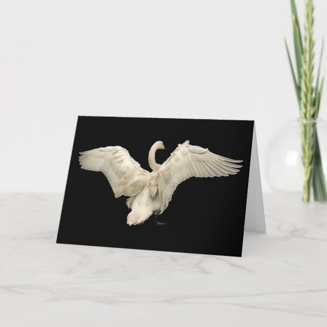 Carte Cygne (Devant)