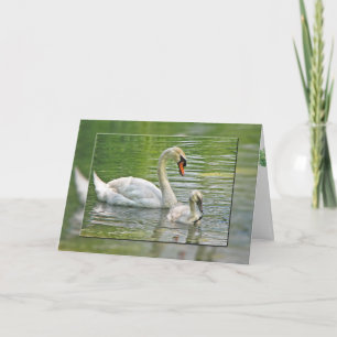 Carte cygne d'anniversaire avec cygnet dans l'étang