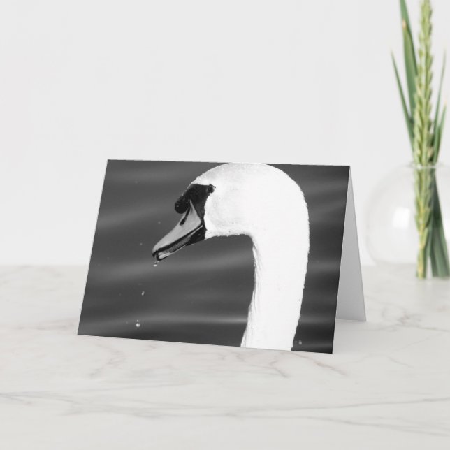 Carte Cygne en noir et blanc (Devant)