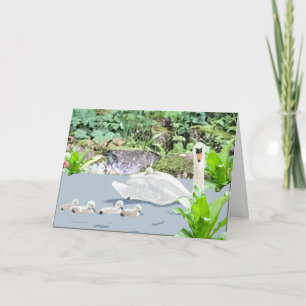 Carte Cygne et Cygnets vierges