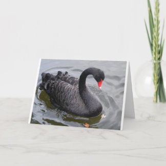 Carte Cygne noir d'anniversaire un jour paisible !