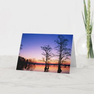 Carte Cyprès Bald Arbres   Réserve nationale de faune, T
