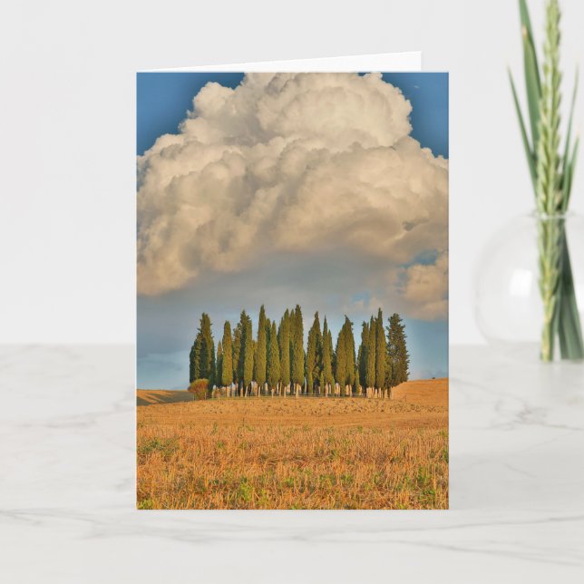 Carte Cyprès de Toscane (Devant)