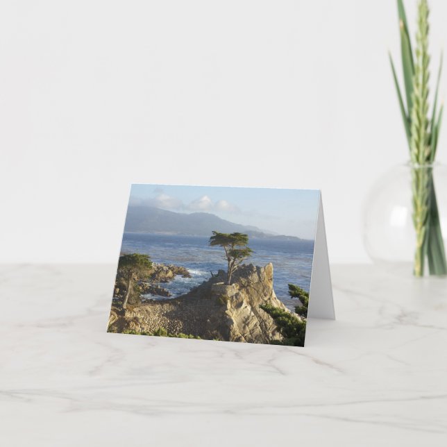 Carte Cypress solitaire (Devant)