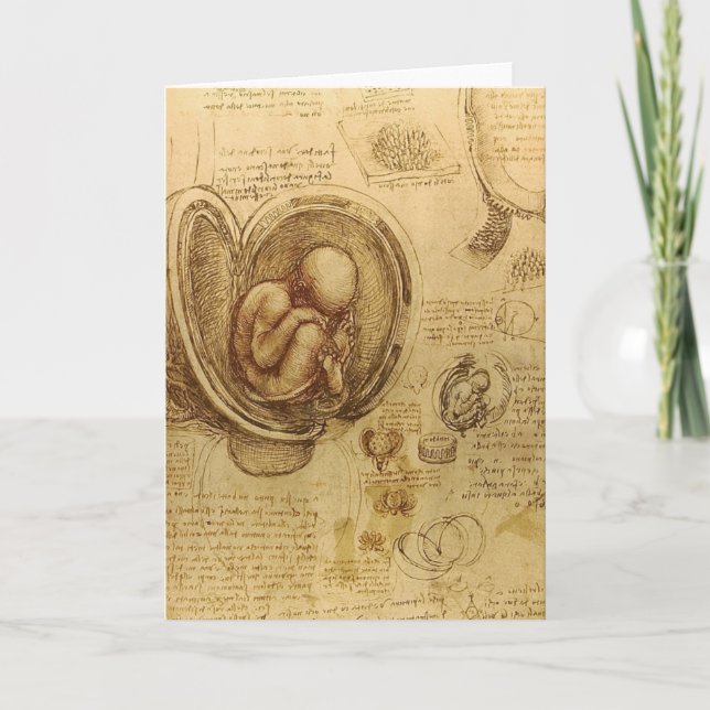 Carte da Vinci - croquis d'embryon (Devant)