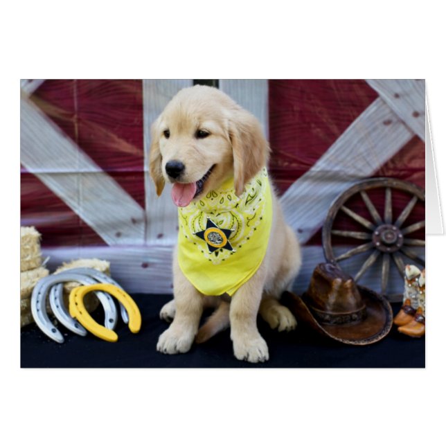 Carte d'Abby de cowboy (Devant horizontal)