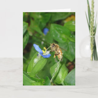 Carte d'abeille