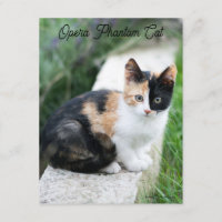 Chat Fantôme de l'Opéra
