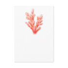 Corail aquarelle mariage un côté art