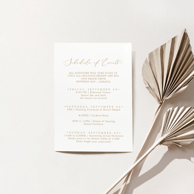 Carte D'accompagnement Fin de semaine Mariage Gold Delicate Horaire des é (Créateur téléchargé)