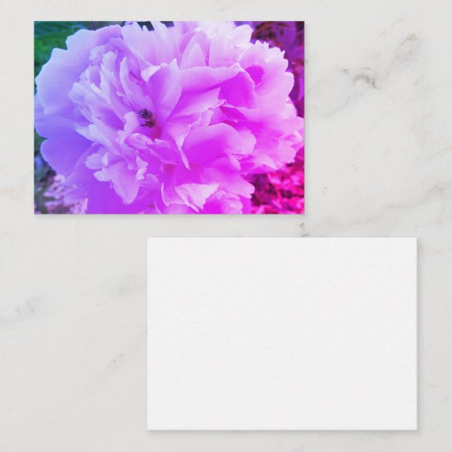 Carte D'accompagnement Fleur de pivoine avec une abeille de miel (Devant / Derrière)