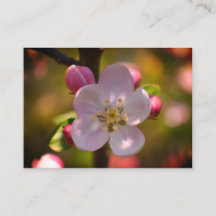 Fleur de pommier sur une branche en fleurs au prin