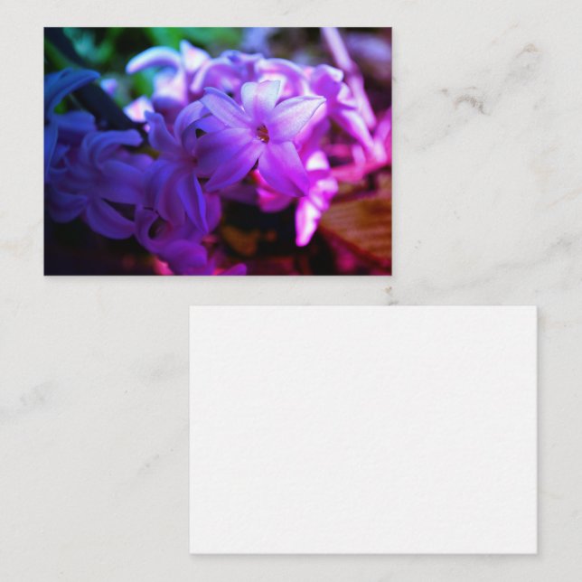 Carte D'accompagnement Fleur Pastel Pink Hyacinth (Hyacinthus) (Devant / Derrière)