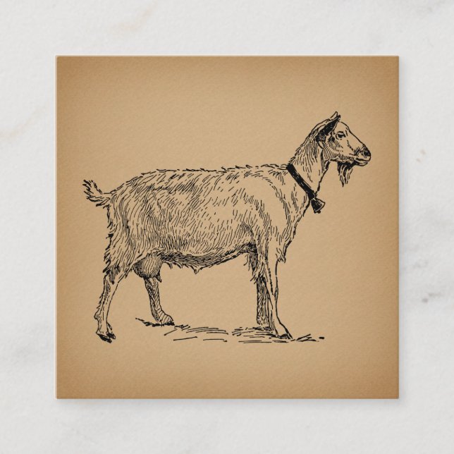 Carte D'accompagnement Goat with Bell Illustration Antique Aged Brown (Devant)