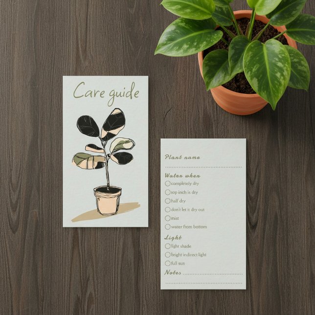 Carte D'accompagnement Guide de soins simple pour les commandes de plante (Simple Care Guide for house plant Shop Orders Enclosure Card.)