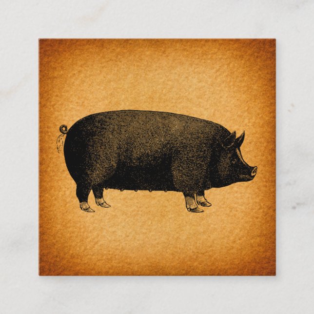 Carte D'accompagnement Illustrated Vintage Pig (Devant)