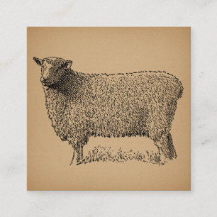 Carte D'accompagnement Illustration classique de l'art du mouton animal d