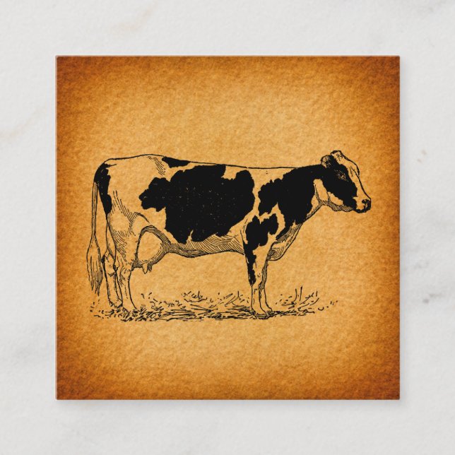 Carte D'accompagnement Illustration de l'ancienne ferme de vache Holstein (Devant)