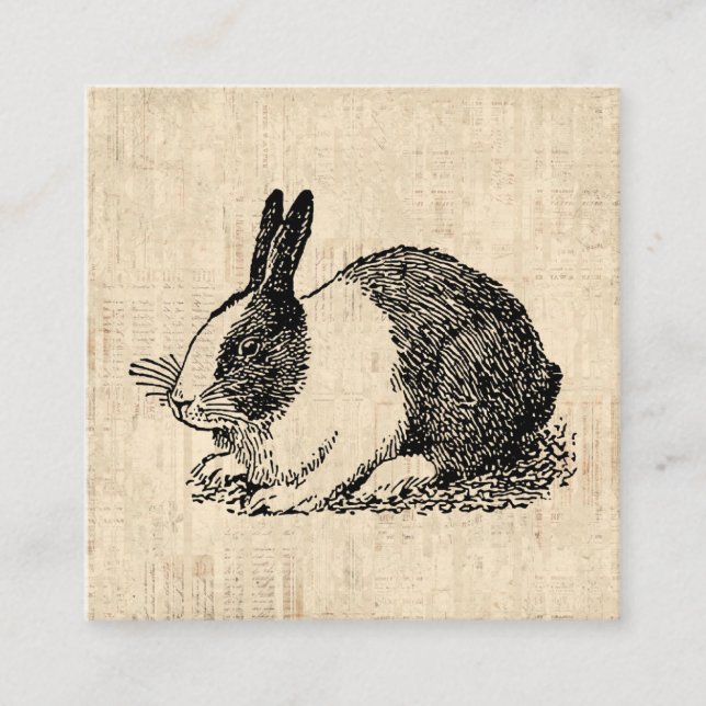 Carte D'accompagnement Jote Lapin Lapin Illustration de l'art animal Vint (Devant)