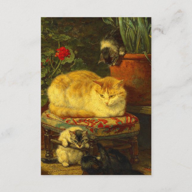 Carte D'accompagnement Les chatons en jeu (Devant)