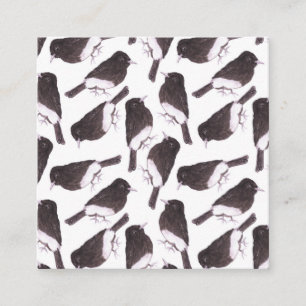 Carte D'accompagnement Oiseaux de phoebe noir