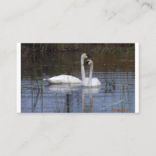 Carte D'accompagnement Paire des cygnes