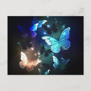 Carte D'accompagnement Papillon de nuit