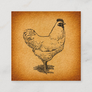 Carte D'accompagnement Pays Poulet de la ferme Animal Art Rooster Vintage