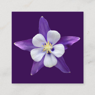 Carte D'accompagnement Petit cadeau carré polyvalent Gards