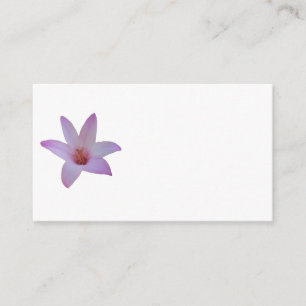 Carte D'accompagnement Photo d'un délicat lis rose sur un