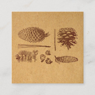 Carte D'accompagnement Pinecone d'art Vintage