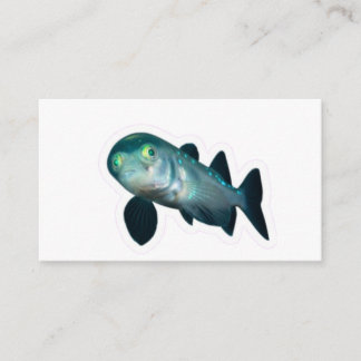 Carte D'accompagnement Rare Barreleye Deep Sea Fish Transparent Head Stic