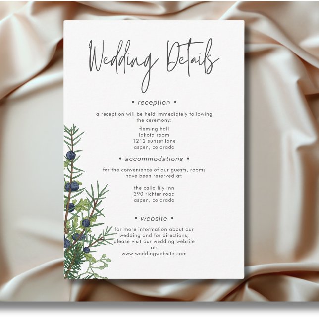 Carte D'accompagnement Rustic Winter Nature & Pine Détails du Mariage (Rustic Winter Nature & Pine Wedding Details Enclosure Card)