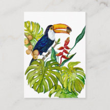 Toucan Coloré Aquarelle Oiseau Tropical