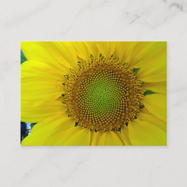 Carte D'accompagnement Tournesol et graines, Spirale, Ratio doré (Devant)