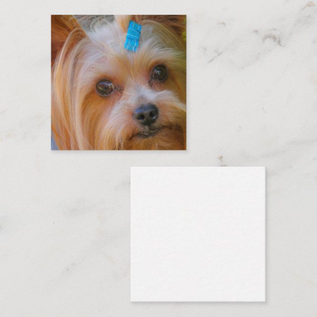 Carte D'accompagnement Yorkshire Terrier Yorkie race préférée (Devant / Derrière)