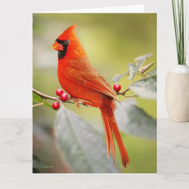 CARTE D'ACCUEIL CARDINALE ROUGE D'ANNIVERSAIRE (Devant)