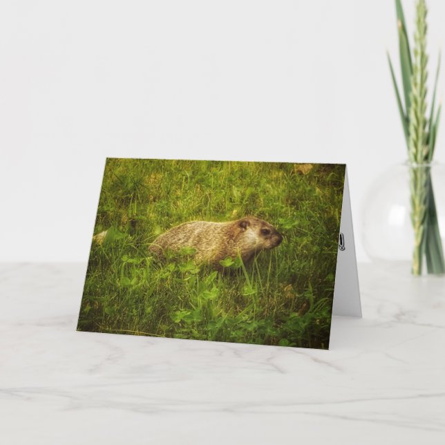 Carte d'accueil de marmotte (Devant)