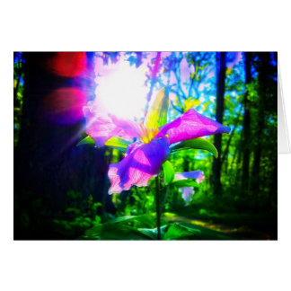CARTE D'ACCUEIL DU TRILLIUM ROSE