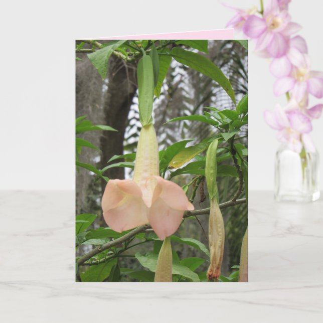 Carte d'accueil florale Angel Trumpet (Orchidée)