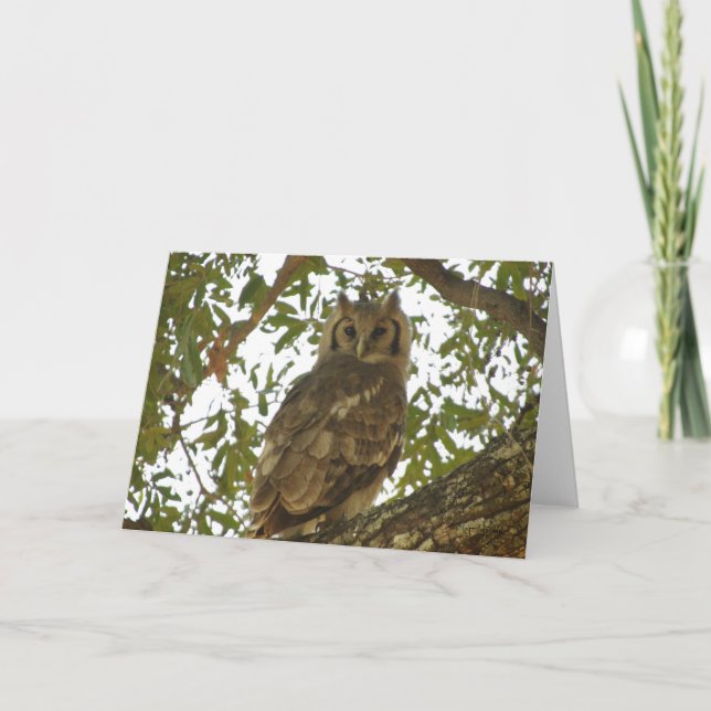 CARTE D'ACCUEIL GIANT EAGLE OWL (Devant)