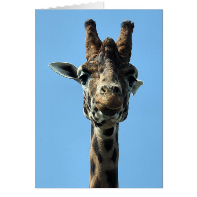 CARTE D'ACCUEIL GIRAFFE (Devant)