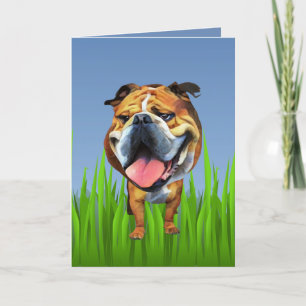 Carte d'accueil pour Bulldog
