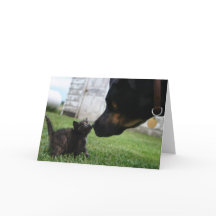 Carte d'accueil pour le chat et le chien