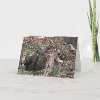 Carte d'accueil vierge de Fawn tachetée