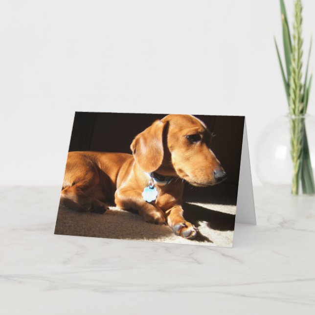 Carte Dachshund chien animal de compagnie (Devant)