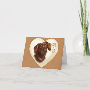 Carte Dachshund Dog Note, Cartes de remerciement