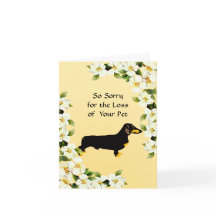 Dachshund et Dogwood - Sympathie