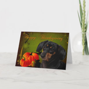 Carte Dachshund Thanksgiving