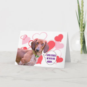 Carte Dachshund Valentine's Day Card
